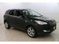 Tuxedo Black 2014 Ford Escape Titanium 2.0L EcoBoost 4WD