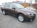 Cinnamon Brown Pearl - Outback 2.5i Premium Photo No. 1