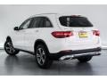 Polar White - GLC 300 Photo No. 2