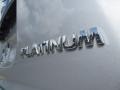 Brilliant Silver - Pathfinder Platinum Photo No. 6