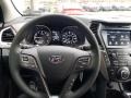 2019 Hyundai Santa Fe XL Gray Interior Steering Wheel Photo