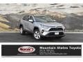 2019 Silver Sky Metallic Toyota RAV4 XLE AWD  photo #1