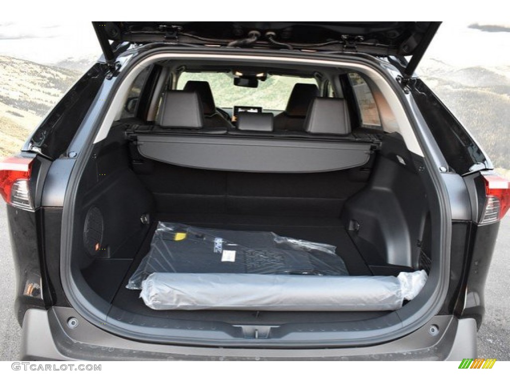 2019 Toyota RAV4 Limited AWD Trunk Photo #131320497