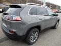 Sting-Gray - Cherokee Latitude Plus 4x4 Photo No. 6