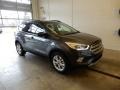 2019 Magnetic Ford Escape SEL 4WD  photo #1