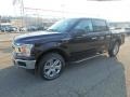 Agate Black - F150 XLT Sport SuperCrew 4x4 Photo No. 6