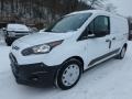 Frozen White - Transit Connect XL Van Photo No. 9