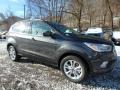 2019 Magnetic Ford Escape SEL 4WD  photo #9