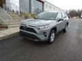 Lunar Rock 2019 Toyota RAV4 XLE AWD Exterior