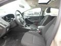 White Gold - Focus SEL Sedan Photo No. 10