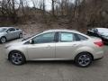 White Gold - Focus SE Sedan Photo No. 6