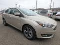 White Gold - Focus SE Sedan Photo No. 9