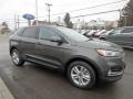 Magnetic - Edge SEL AWD Photo No. 3