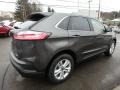 Magnetic - Edge SEL AWD Photo No. 5