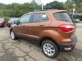 Canyon Ridge - EcoSport SE 4WD Photo No. 5