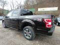 2019 Agate Black Ford F150 STX SuperCrew 4x4  photo #4