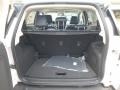 White Platinum - EcoSport Titanium 4WD Photo No. 5