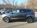 2019 Magnetic Ford Escape SEL 4WD  photo #6