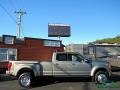 Silver Spruce Metallic - F450 Super Duty Platinum Crew Cab 4x4 Photo No. 6