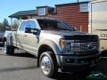 Silver Spruce Metallic - F450 Super Duty Platinum Crew Cab 4x4 Photo No. 7