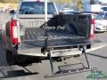 Silver Spruce Metallic - F450 Super Duty Platinum Crew Cab 4x4 Photo No. 14