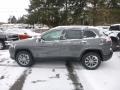 Sting-Gray - Cherokee Latitude Plus 4x4 Photo No. 3