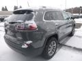 Sting-Gray - Cherokee Latitude Plus 4x4 Photo No. 5