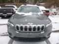 Sting-Gray - Cherokee Latitude Plus 4x4 Photo No. 8
