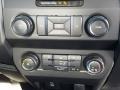 Earth Gray Controls Photo for 2019 Ford F150 #131402424
