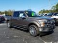 Stone Gray 2019 Ford F150 XLT SuperCrew Exterior