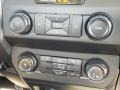 Earth Gray Controls Photo for 2019 Ford F150 #131406216