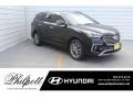 2019 Becketts Black Hyundai Santa Fe XL SE #131420441