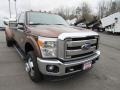 Golden Bronze Metallic - F350 Super Duty XLT Crew Cab 4x4 Dually Photo No. 50