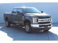 2019 Stone Gray Ford F250 Super Duty XL Crew Cab 4x4  photo #2