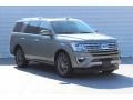 Silver Spruce Metallic - Expedition Limited Photo No. 2