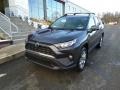2019 Magnetic Gray Metallic Toyota RAV4 XLE AWD  photo #1