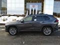 2019 Magnetic Gray Metallic Toyota RAV4 XLE AWD  photo #2