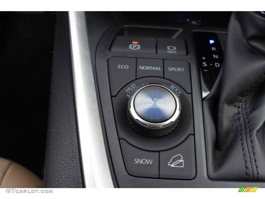 2019 Toyota RAV4 Limited AWD Controls Photo #131443561