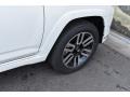 2019 Blizzard White Pearl Toyota 4Runner Limited 4x4  photo #36
