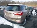 2019 Sandy Ridge Metallic Chevrolet Equinox LS  photo #5