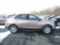 2019 Sandy Ridge Metallic Chevrolet Equinox LS  photo #6