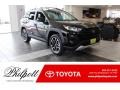 Midnight Black Metallic - RAV4 Adventure AWD Photo No. 1