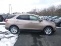 2019 Sandy Ridge Metallic Chevrolet Equinox LT AWD  photo #7