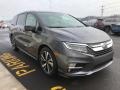 2019 Modern Steel Metallic Honda Odyssey Elite  photo #5