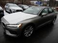 2019 Pebble Gray Metallic Volvo S60 T6 AWD Momentum  photo #5