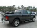 Granite Crystal Metallic - 1500 Classic Big Horn Crew Cab Photo No. 5