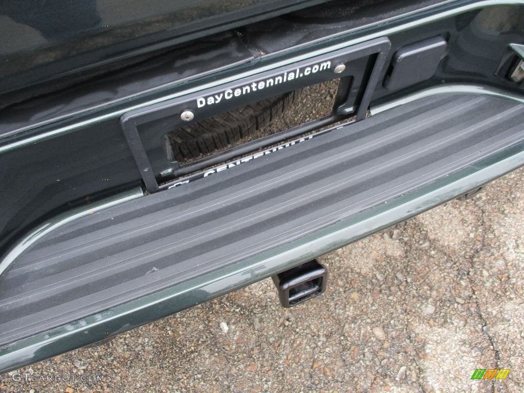 2013 Avalanche LTZ 4x4 - Fairway Metallic / Dark Cashmere/Light Cashmere photo #14