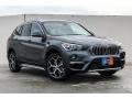 2019 Mineral Grey Metallic BMW X1 sDrive28i  photo #12