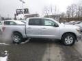 Brilliant Silver Metallic - Titan SV Crew Cab 4x4 Photo No. 3