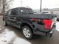 Agate Black - F150 Platinum SuperCrew 4x4 Photo No. 4